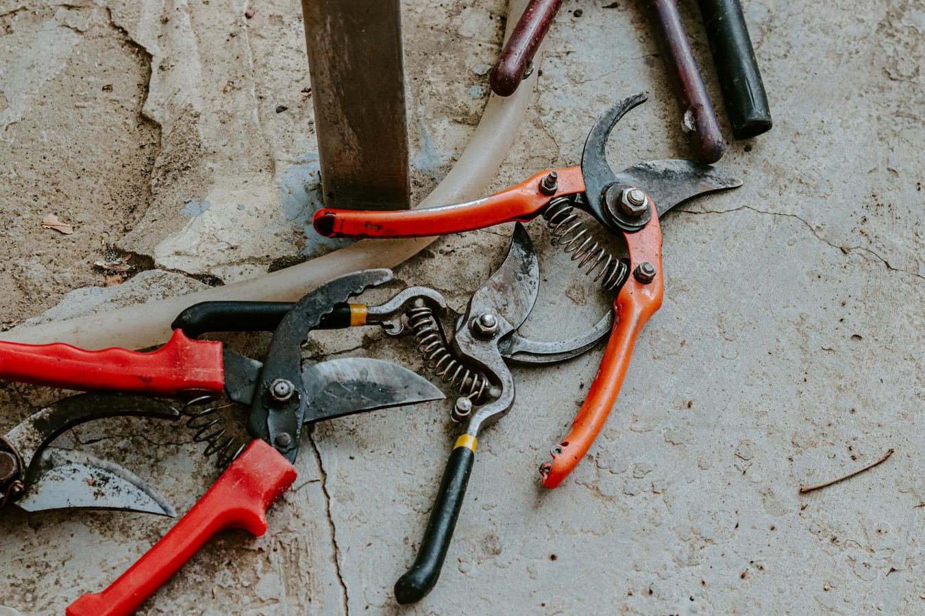 B&Q Review: DIY Orders, Tool Hire, Garden Stock and Click-and-Collect Timing