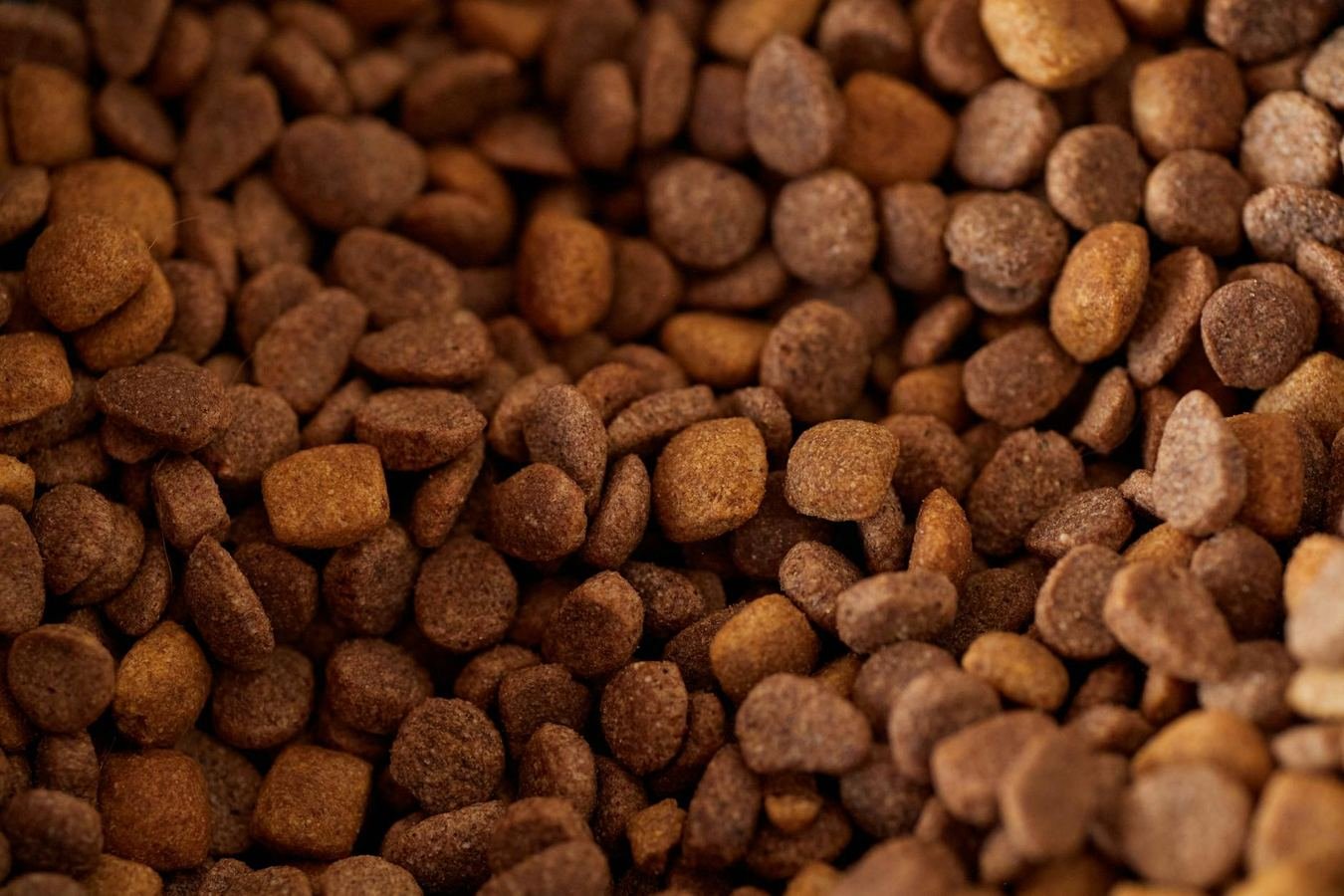 Pets at Home Review: Pet Food, Repeat Orders and Store Collection