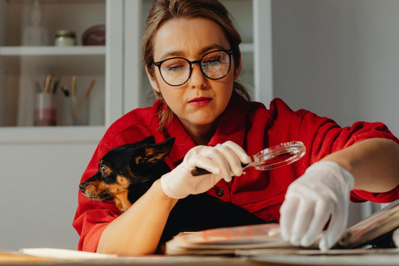 Bought By Many Review: Pet Insurance Excess, Waiting Periods and Claims Admin