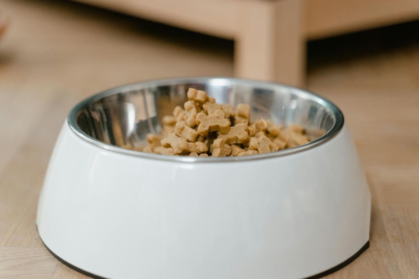 Forthglade Review: Dog Food Ingredients, Portions and Delivery Cadence
