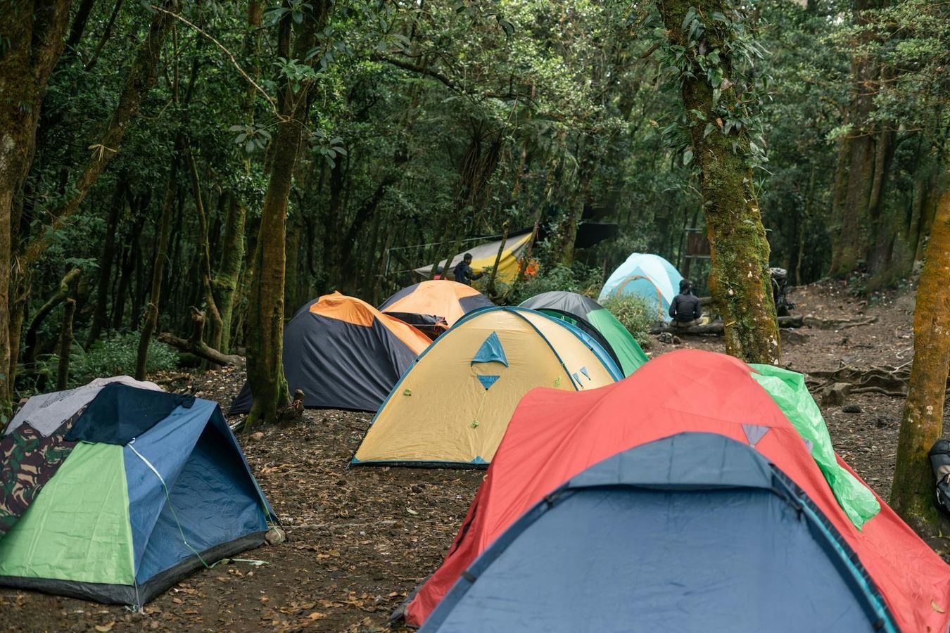 Cotswold Outdoor Review: Camping Kit, Pack Weight and Warranty Confidence